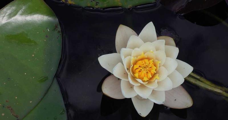 Calm meditation pose by water, suggesting de-escalation