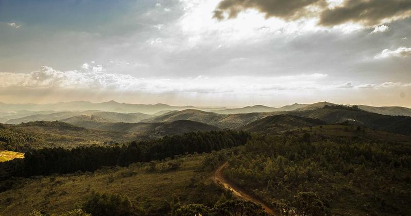 Long road or marathon, suggesting survival as self-definition
