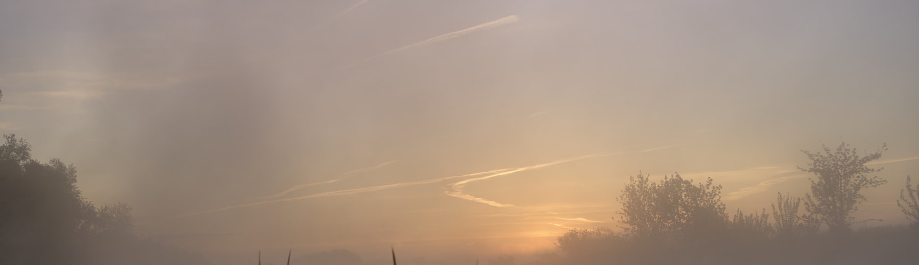 Misty sunrise over a tranquil lake, suggesting renewal and growth